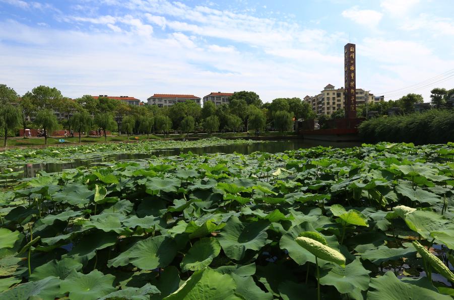 孝感高职高专的学校有哪些,孝感中职高校排名