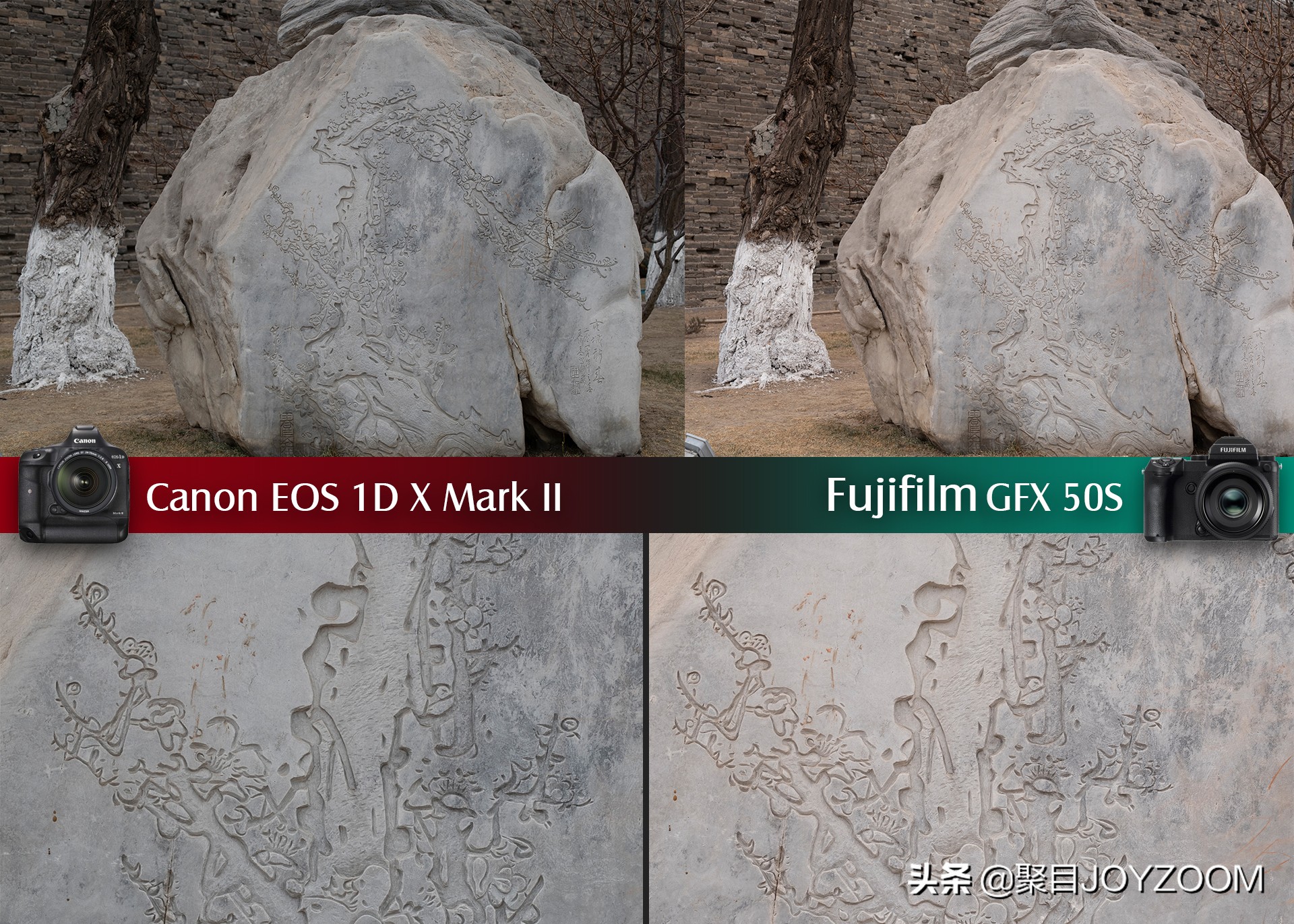 聚目体验丨底大一级真能压“死”人？佳能1DX2VS富士GFX50S