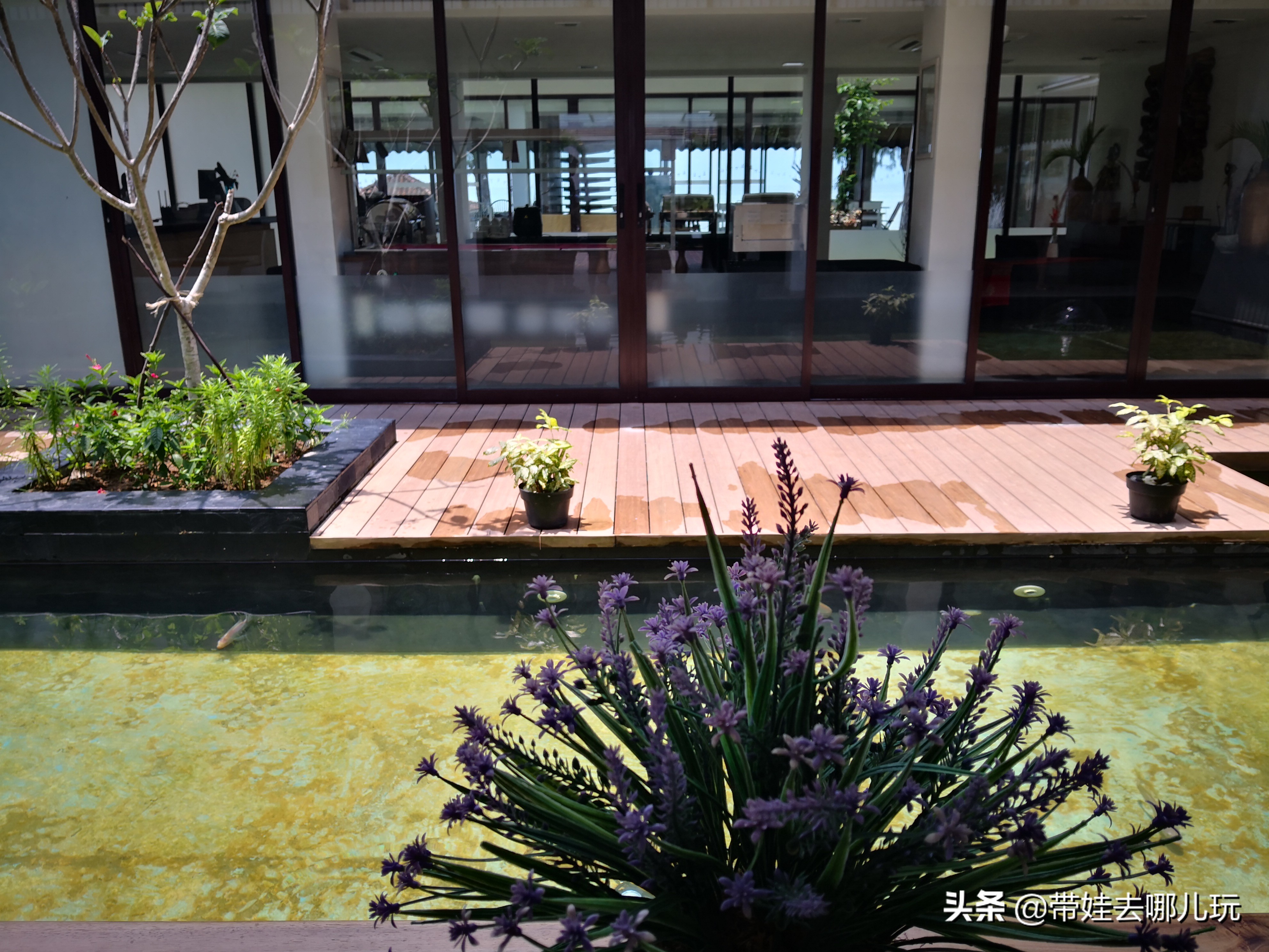 民丹岛到底好玩吗,民丹岛属于什么档次