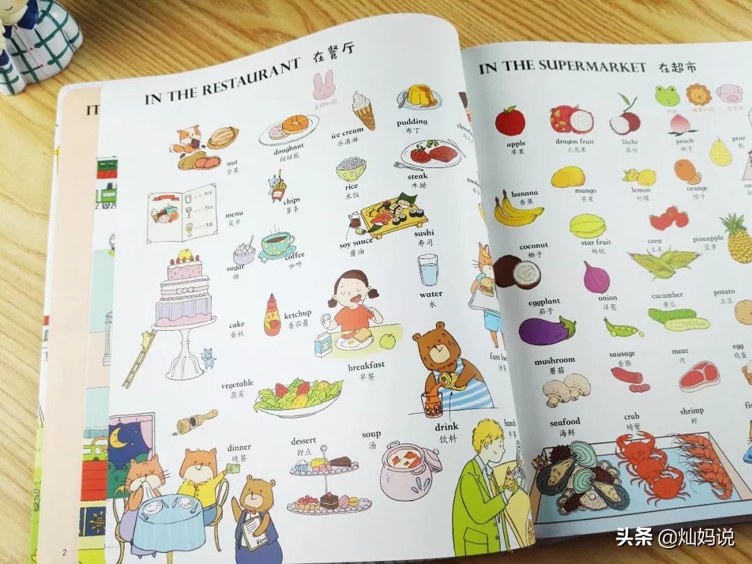 手指点读英语发声书推荐,灿妈书单