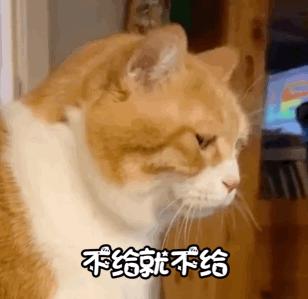 家里wifi密码忘了如何重置路由器,忘记wifi密码怎么登上路由器查看