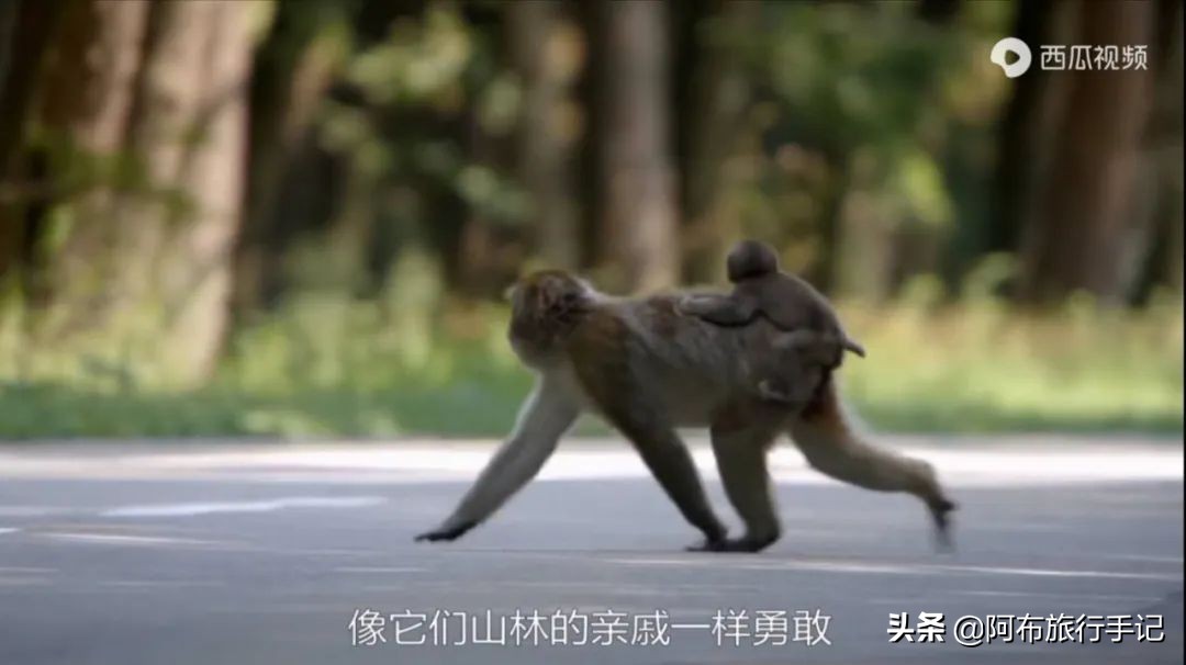 豆瓣9.1分看哭百万人,豆瓣评分9.0却很少有人看懂