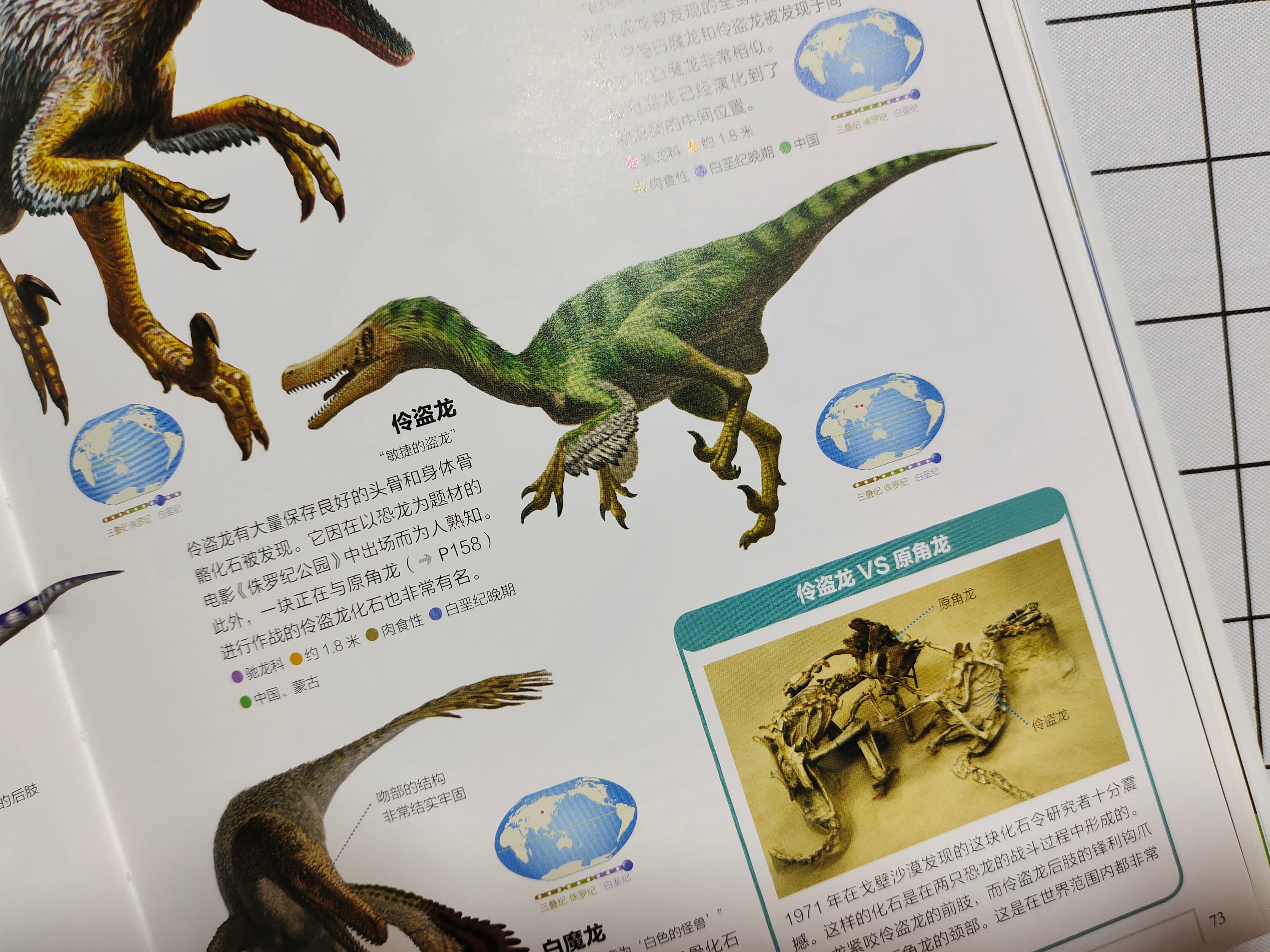 恐龙百科全书恐龙世界的无穷奥秘,世界上最全的恐龙百科全书