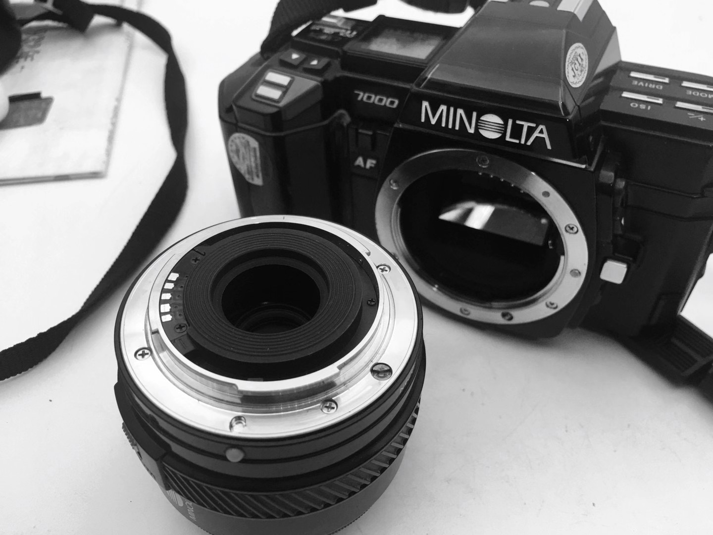 相机里的故事全集,相机故事