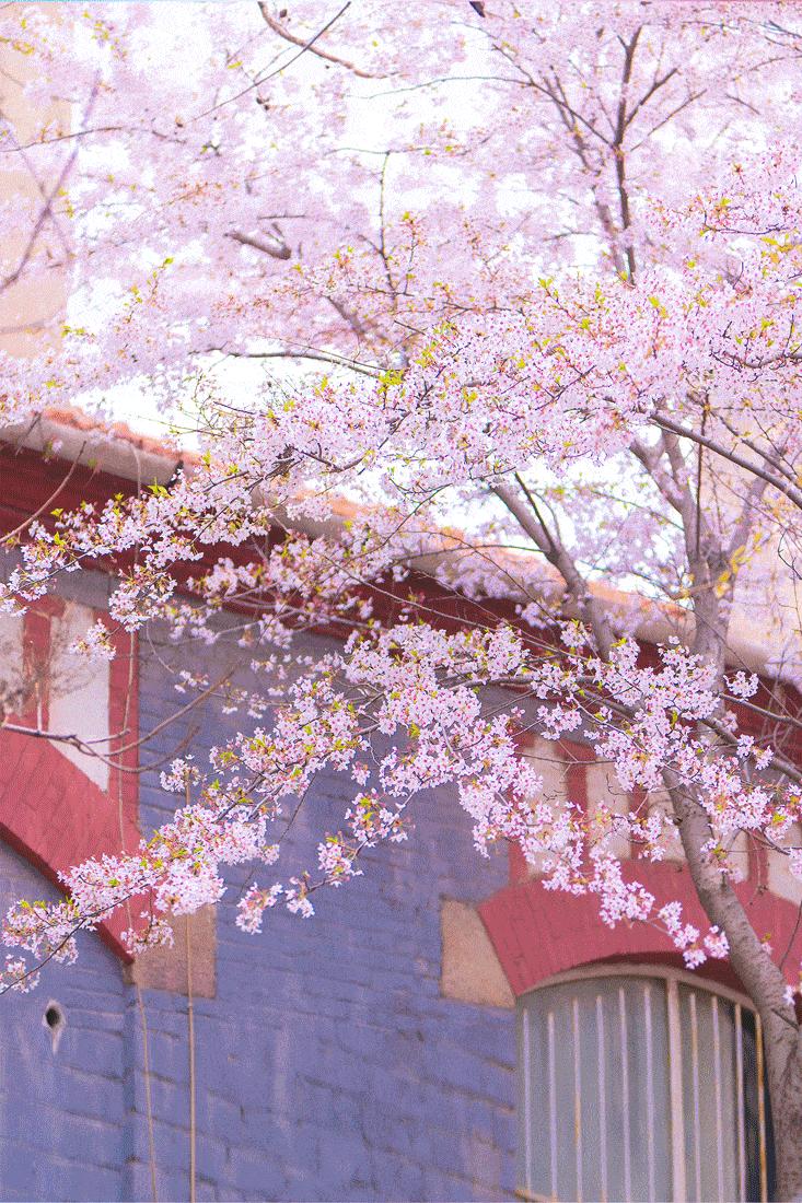 衣柜里必须要有直筒牛仔裤百搭,衣柜牛仔裤款式