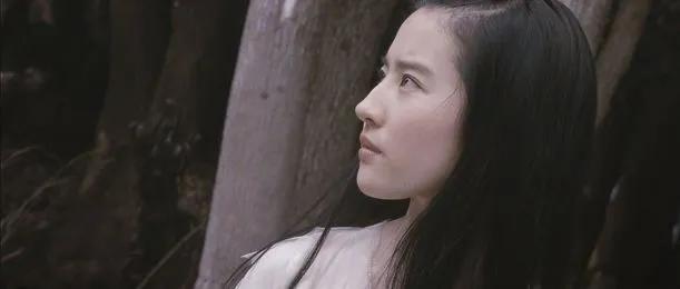 刘亦菲花木兰四大槽点,从花瓶到影后用演技迷翻众生