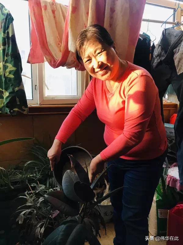 米粉节正式开始这些产品不要错过,4月9日米粉节都有什么新产品