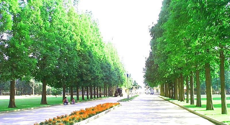 莱阳在山东的地名,齐鲁地名怎么来的