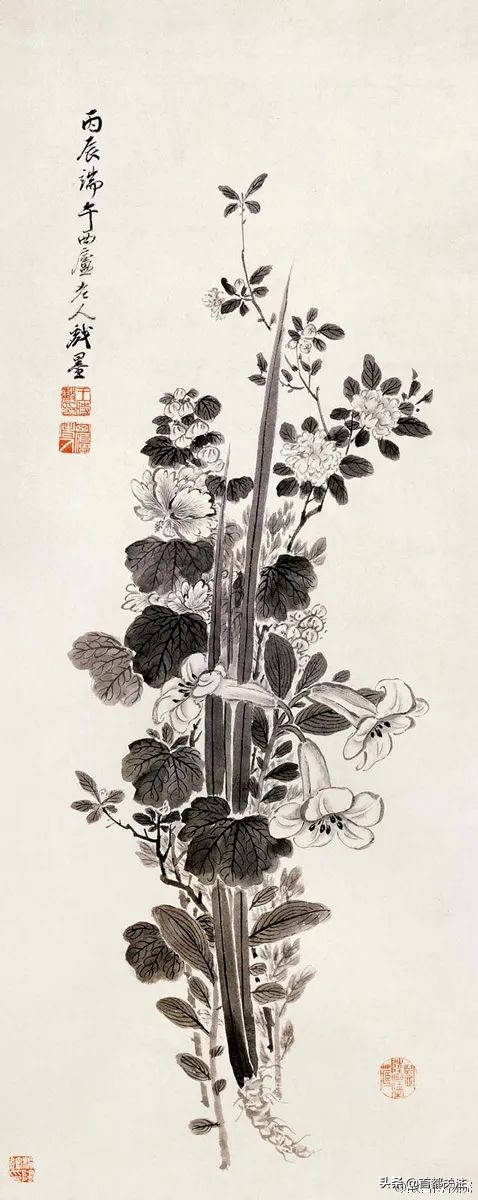 古人“防疫日”，又闻草木香，今日端午，愿您安康