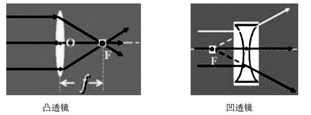 寒假物理八年级直播课,8年级暑假物理直播课程