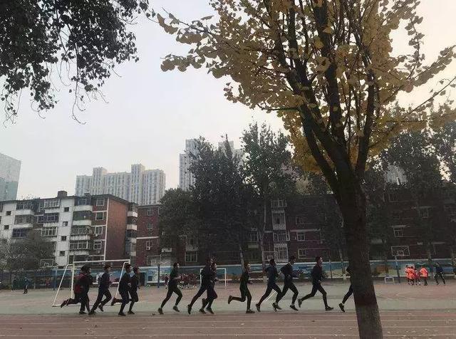 石家庄4中初中部排名,石家庄44中学