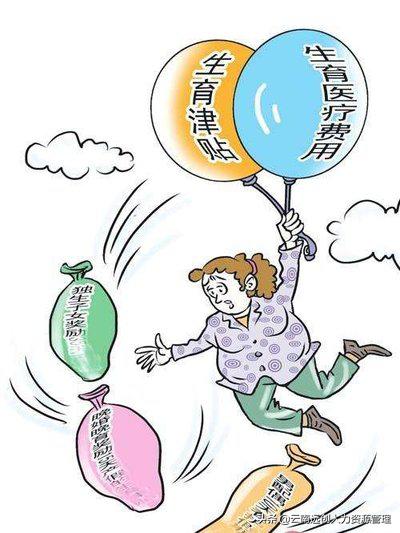 广州生育保险报销范围和标准,河北生育保险报销范围和标准