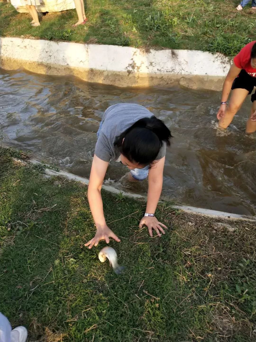 紫薇园宿州露营音乐节,中华紫薇园露营