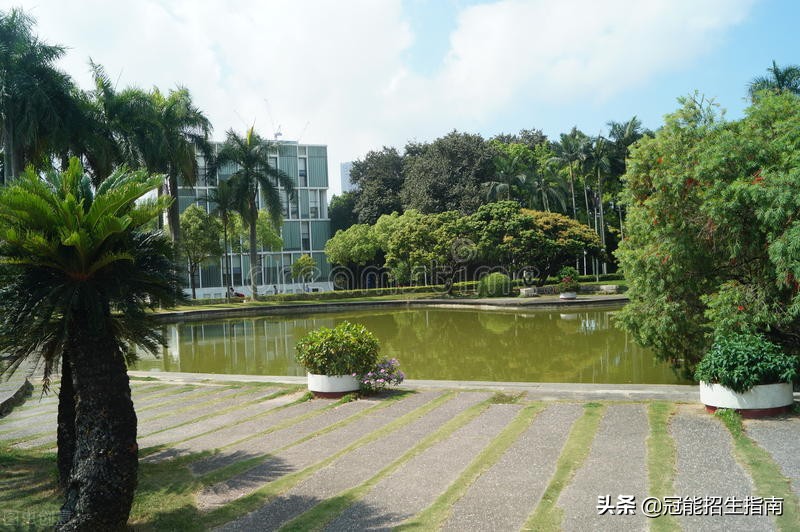 四川公办职业学校有哪些好推荐,四川正规的职业学校有哪些