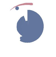 新传考研浙江工商大学 (新传考研浙江大学时间)