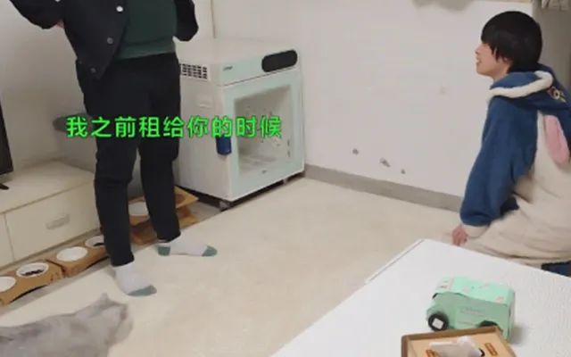 偷偷养宠物房东发现了怎么办,偷偷养阿拉斯加被房东发现了