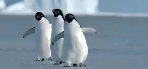 习惯性崴脚怎么锻炼脚踝力量,脚踝习惯性崴脚怎么恢复