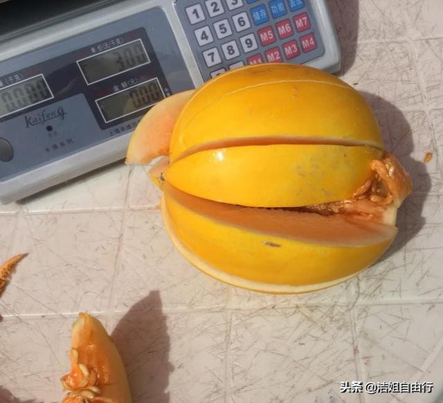 青海湖大环线7天自驾游攻略,6月青海大环线旅游攻略