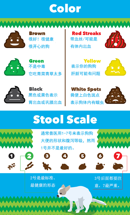 狗狗吃肉腹泻并伴有发烧吃什么药,狗狗腹泻和呕吐流鼻涕用什么药