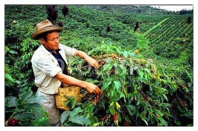 内马尔球星,内马尔历史经历