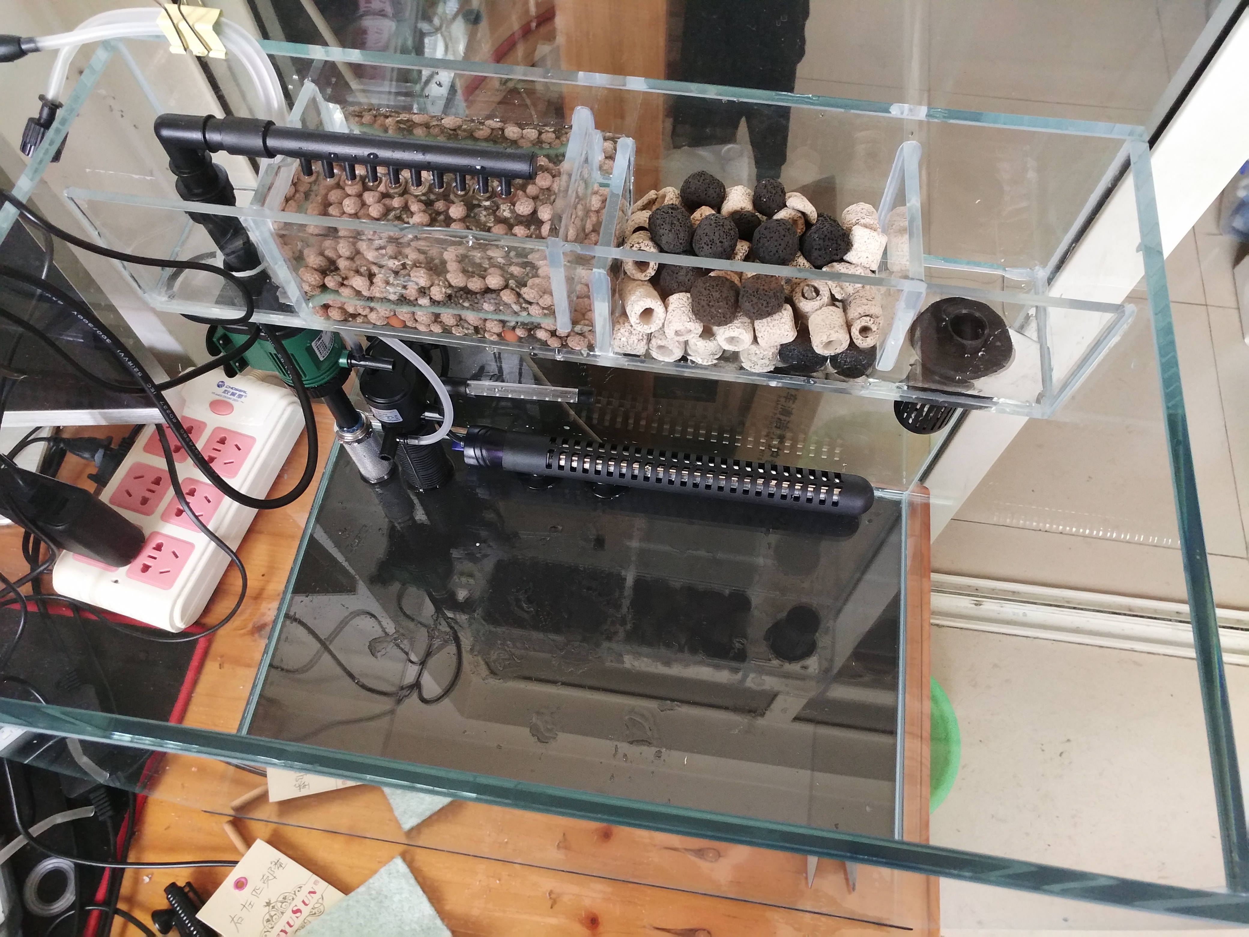 学生如何养金鱼,大学生养金鱼的秘诀