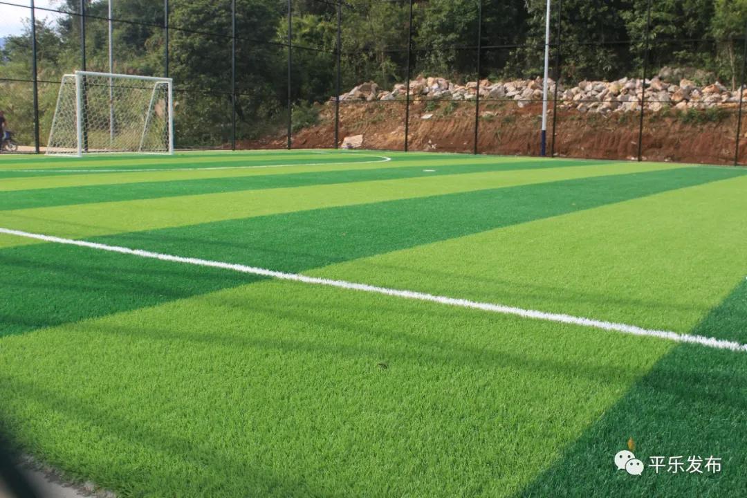 走踢足球这条路要去哪个学校,临桂哪里有踢足球的地方