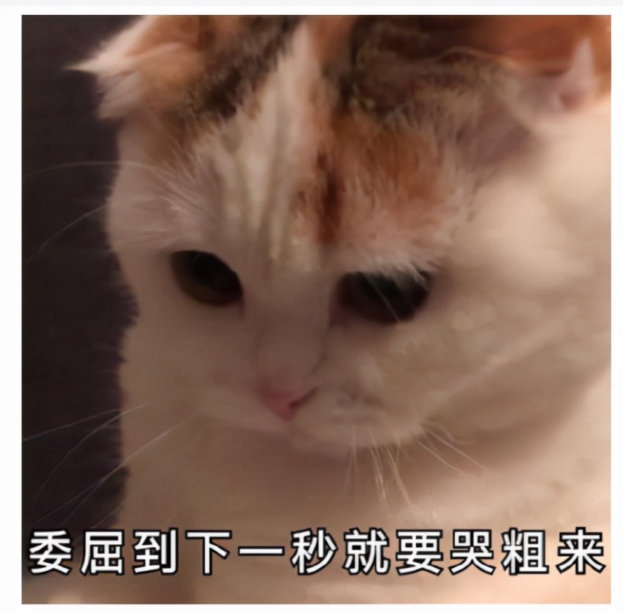 回避型依恋转为安全型的表现,回避型依恋最后的归宿