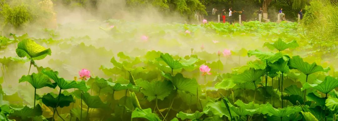 济南必去网红打卡地,济南网红打卡地经三纬三