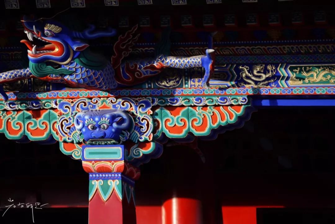 机票不到800元，第2次东北沈阳之旅，1个鸡架配老雪！