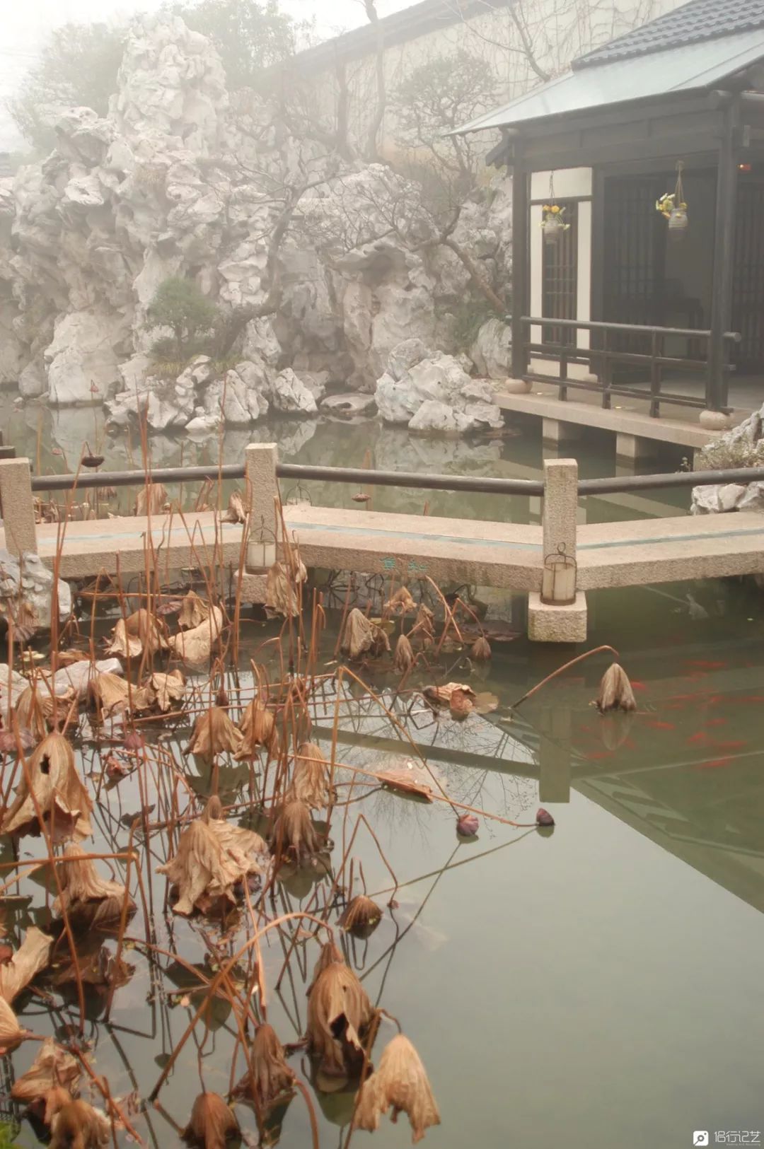 大叔花700万建的花园别墅,太湖石苏州