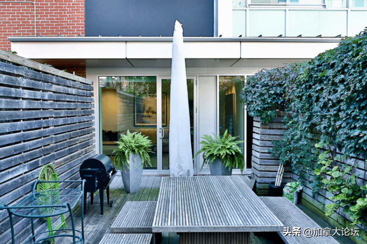 加拿大3000万加币,刷三观