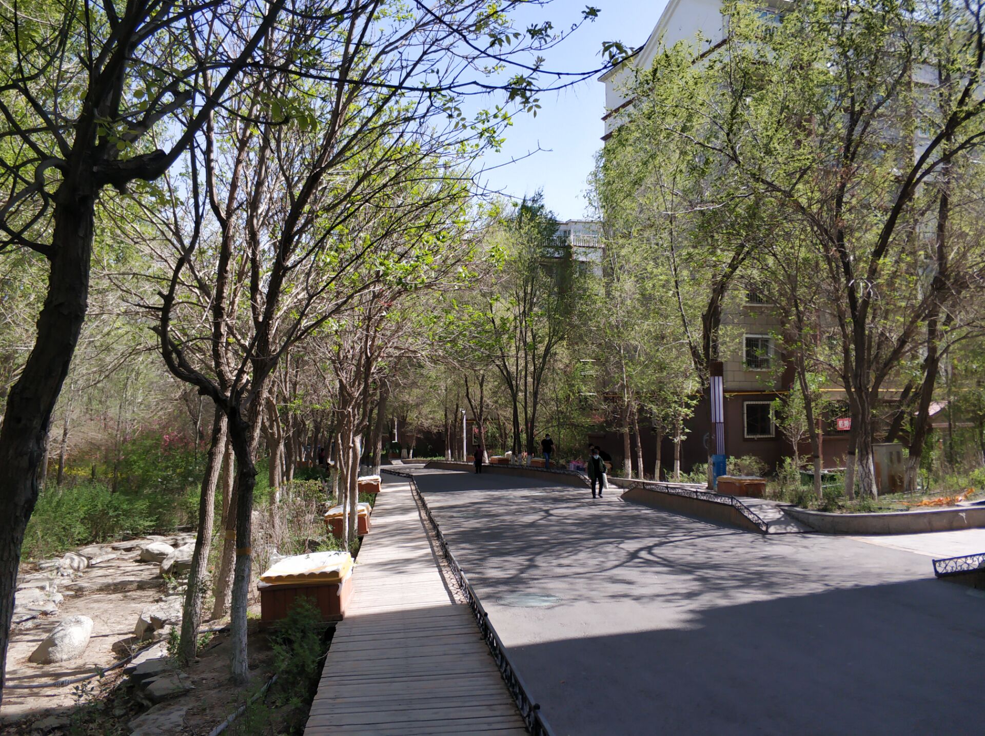 乌鲁木齐居然有这么漂亮的地方,乌鲁木齐周边森林公园在哪里