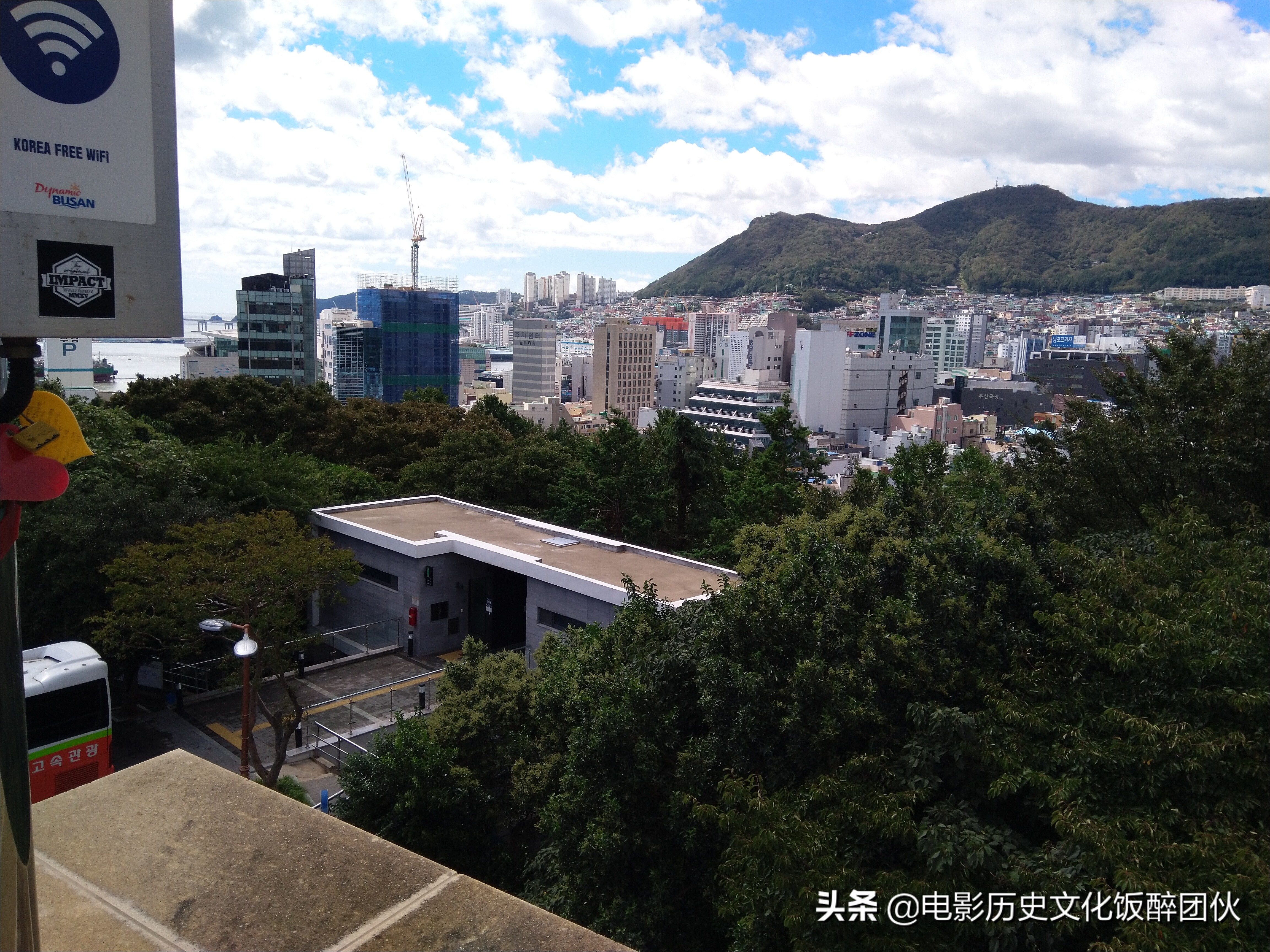 嫁到韩国的中国人的感受,嫁到上海的韩国女孩