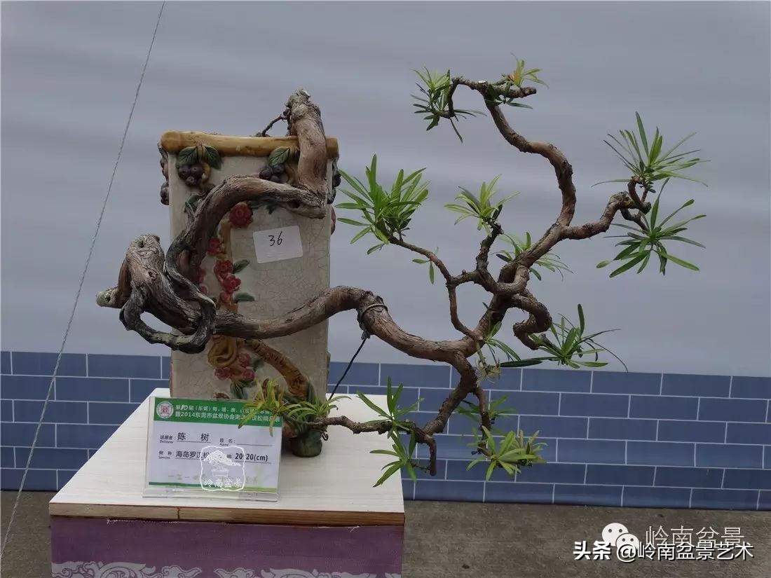 开运招财，非其莫属！清风雅韵，当之无愧！