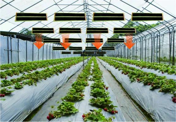 暖玛士石墨烯健康养生地暖,石墨烯大棚采暖技术介绍