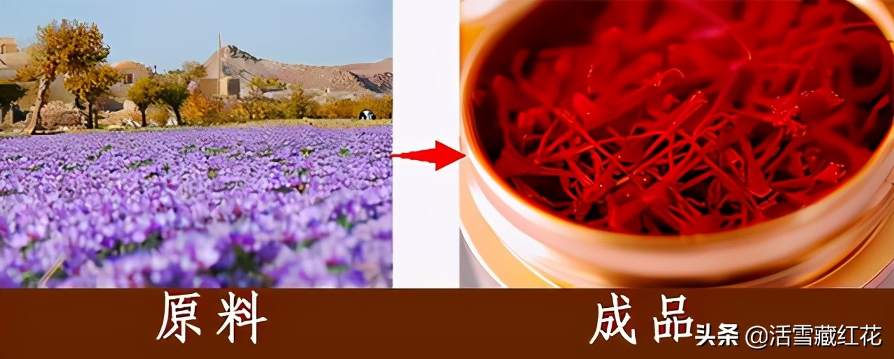 伊朗与伊拉克矛盾,伊朗和伊拉克冲突的原因