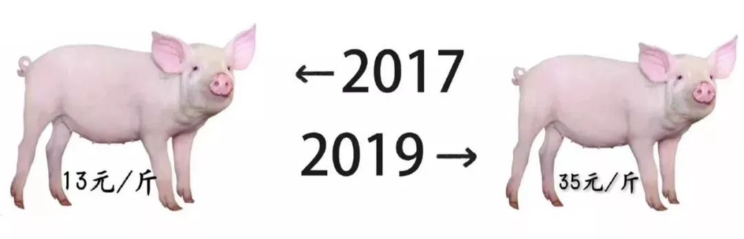 抛弃“铁饭碗”，养猪年入18亿，解密北大才子的另类创业路