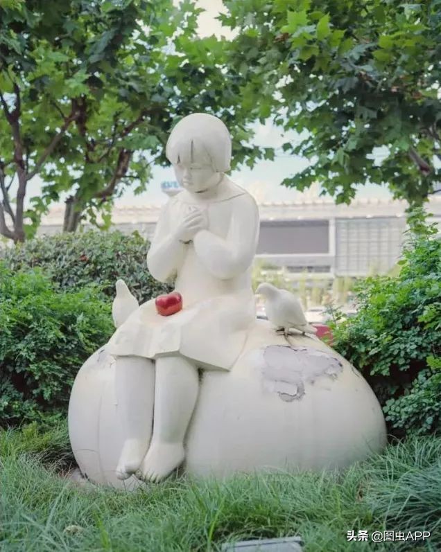 图虫opensealab摄影,图虫看动物世界系列