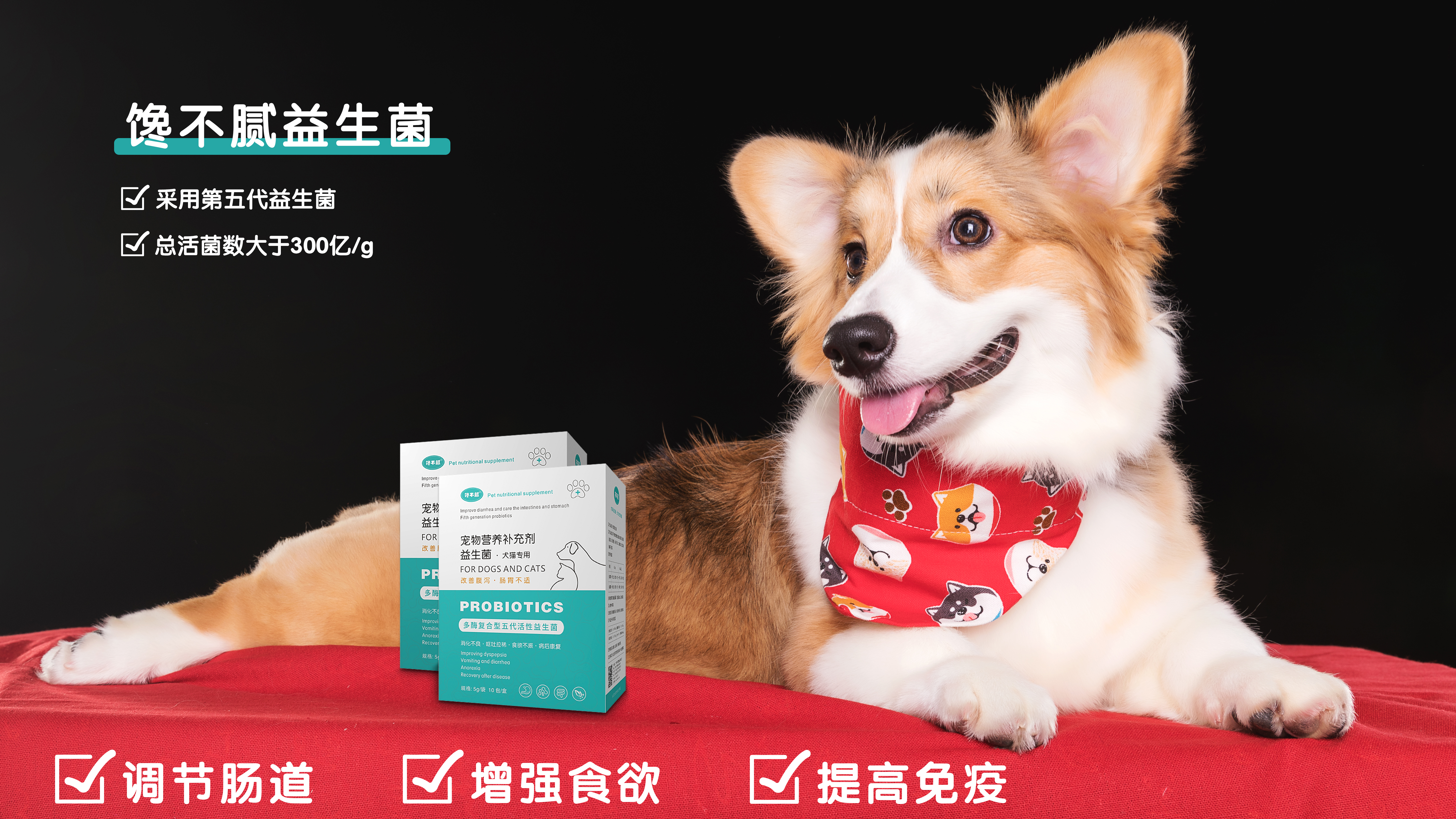 法国斗牛犬体味很重怎么办,斗牛犬体臭怎么解决