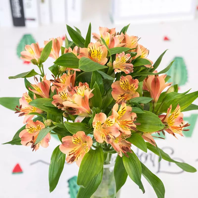 过年家里必摆的九道菜,过年家里摆的喜庆的物件