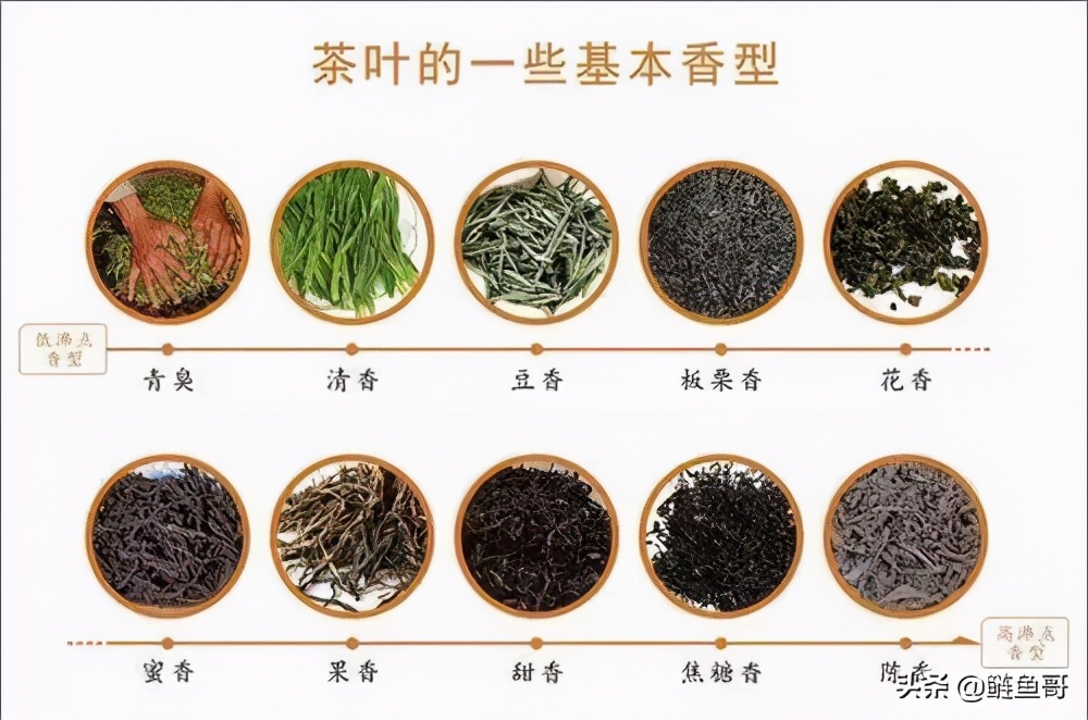 茶叶所含的都有什么元素,茶叶含有茶多酚有什么作用