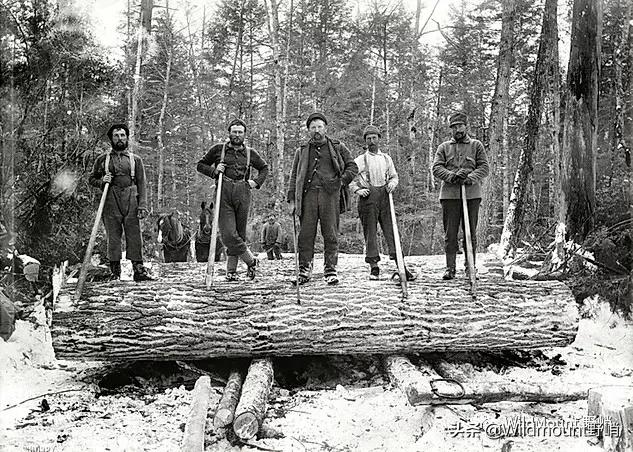 美国Huberds鞋油品牌创始人A.E.Huberd