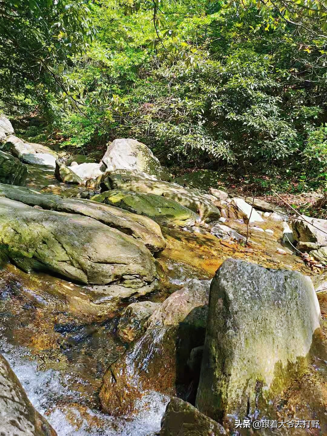 九宫山溯溪怎么去,九宫山附近免费溯溪