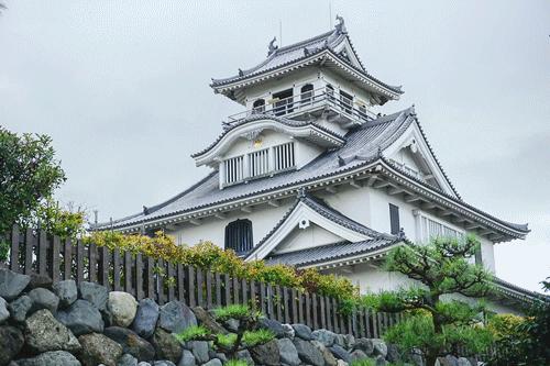 去日本看樱花的攻略,日本人第一次到中国看最大的樱花