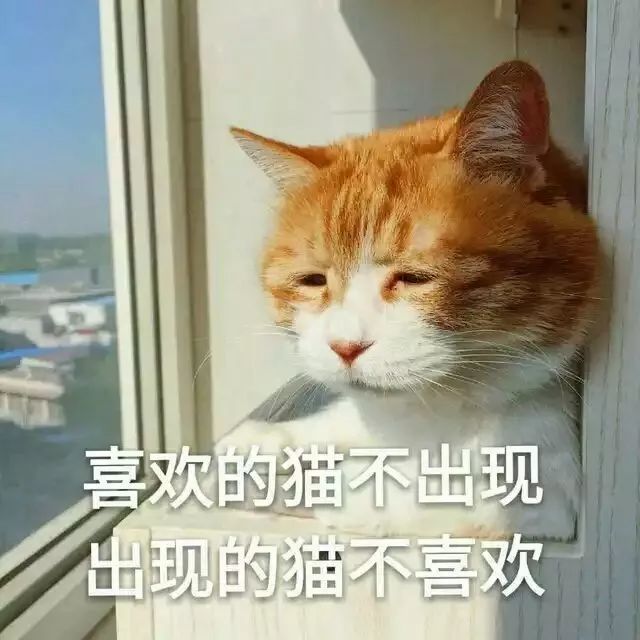 猫咪突然睡在猫砂盆里是什么情况,猫咪突然不在猫砂里尿了怎么回事