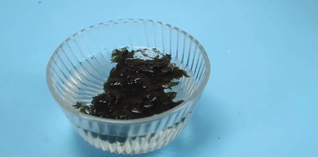 紫菜真假鉴定小窍门,紫菜真假的图片大全