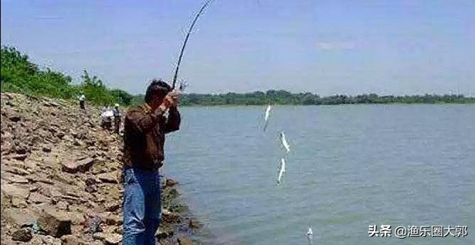 串钩钓鲫鱼抛竿推荐排行,新手拉饵钓鲫鱼如何调漂