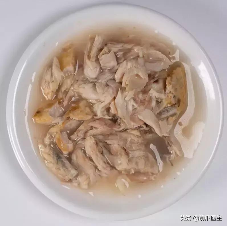 如何促使猫咪喝水,猫咪喜欢喝水吗