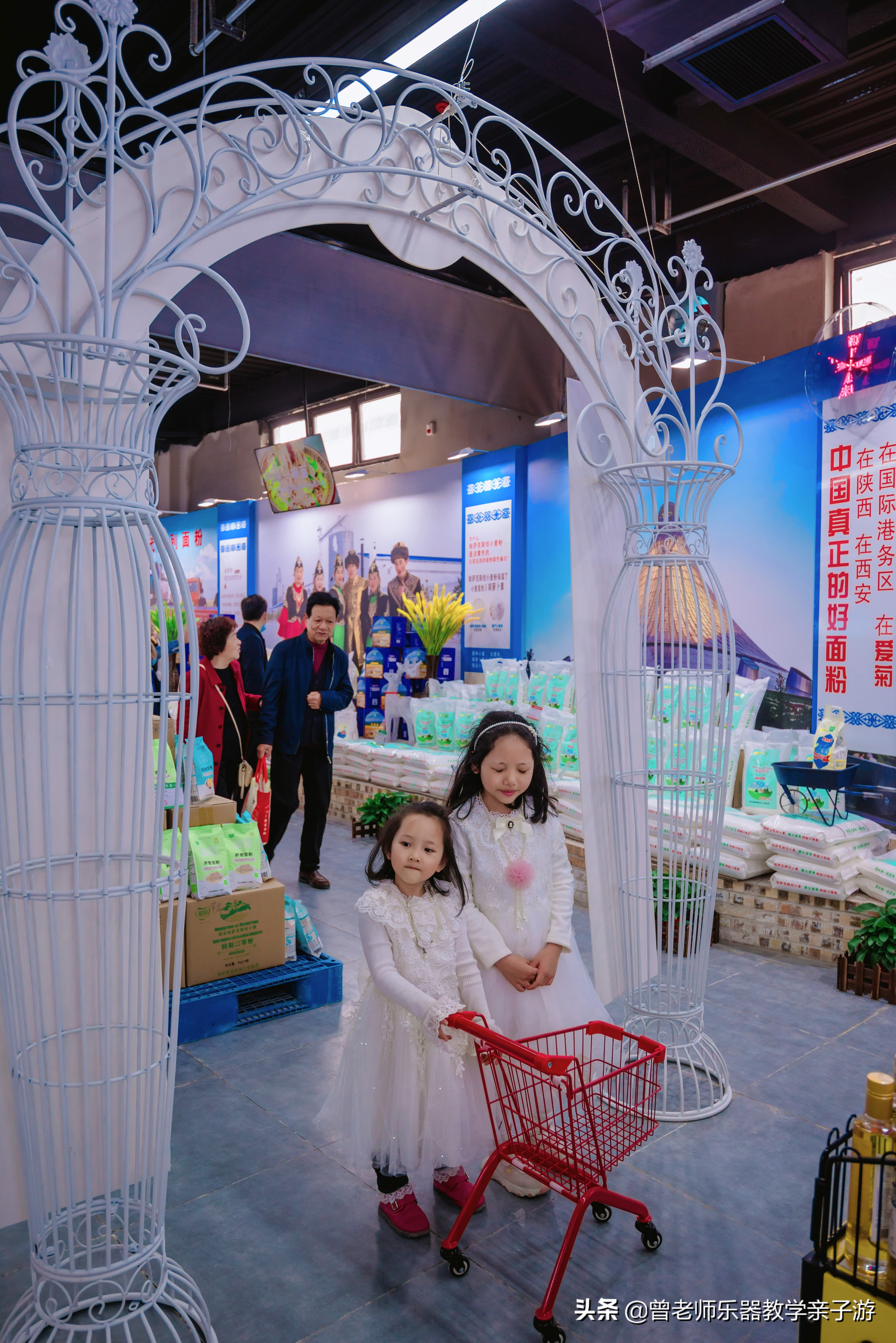 爱菊研学游,爱菊丝路文化菊花园西安