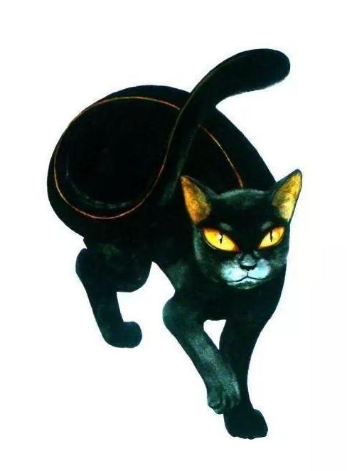 古代各种猫咪的名字只能有两个字,古代的猫的名字到底有多霸气